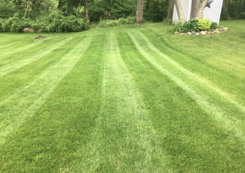 Lawn Mowing and Maintenance