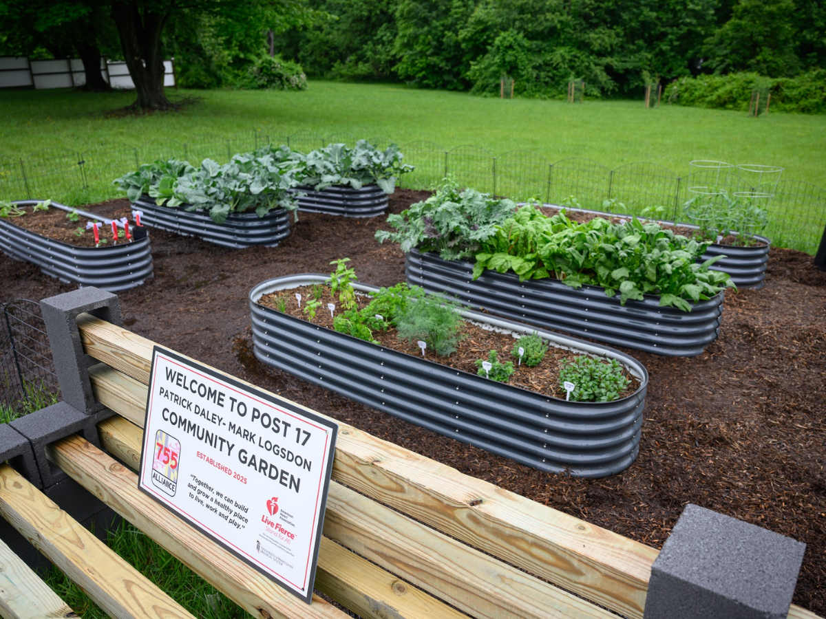 After Community Garden Installation