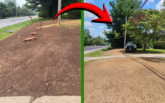 Tree Services & Installation