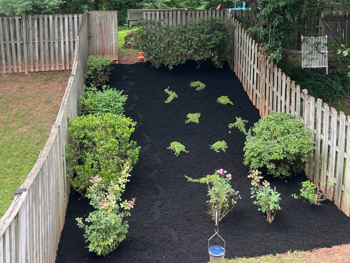 After Mulching & Gardening