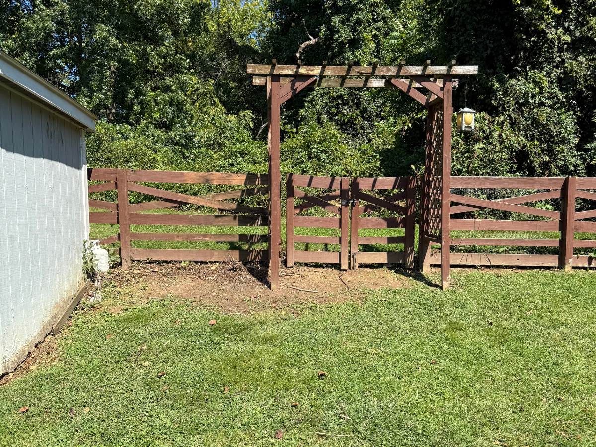 After Overgrowth Removal