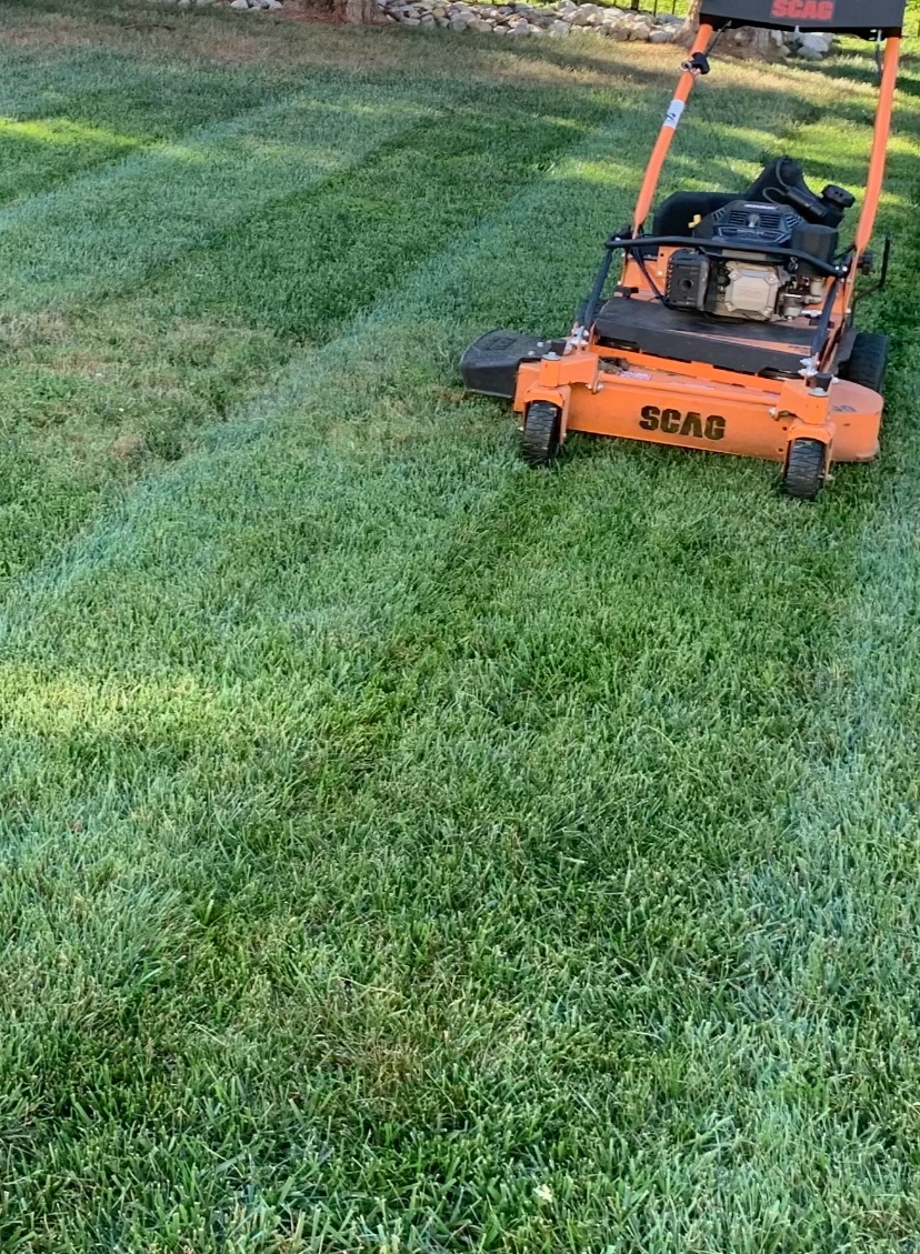 Lawn Care
