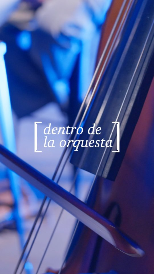 CNC: Dentro de la orquesta — detalle de contrabajo con iluminación azul.