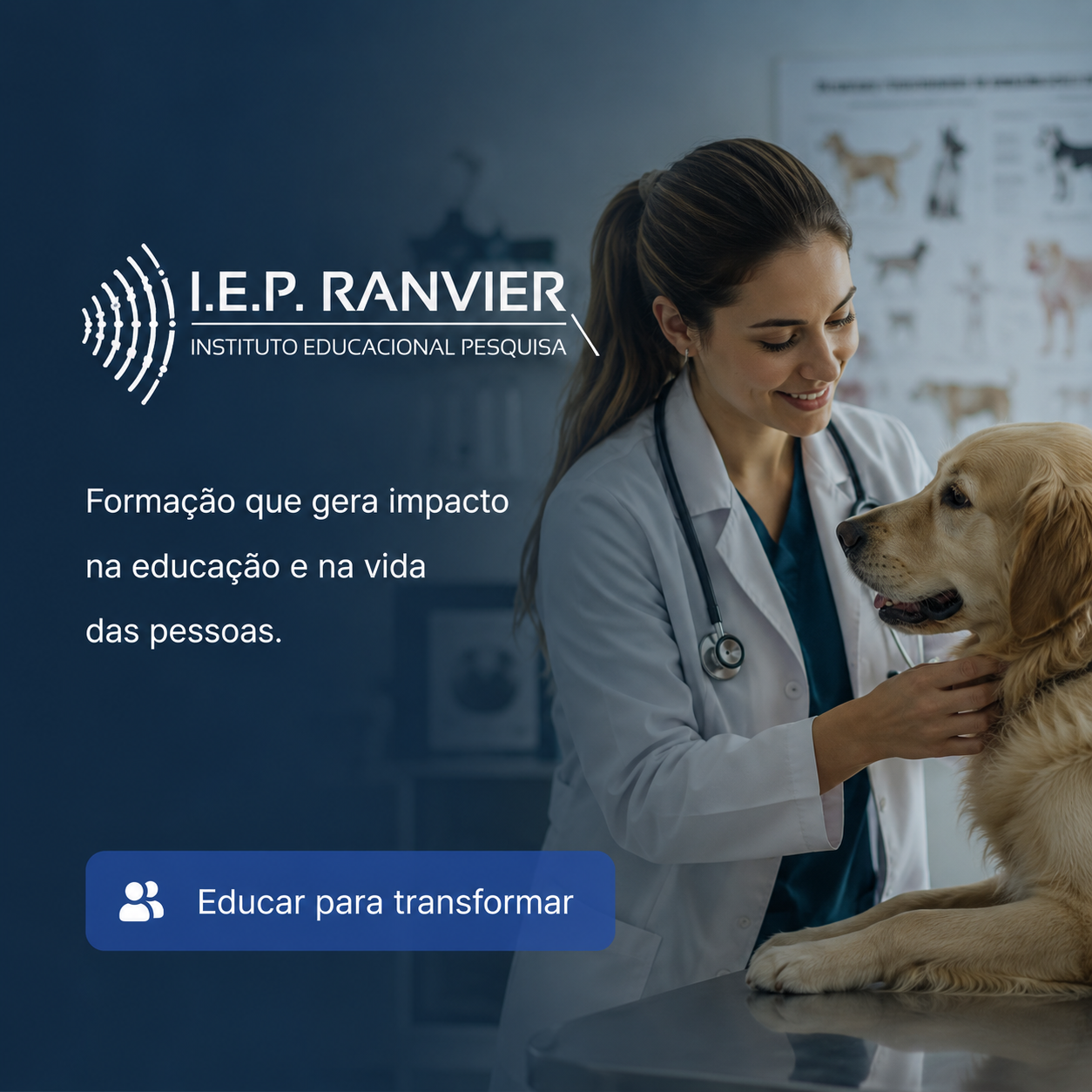 Partner 7