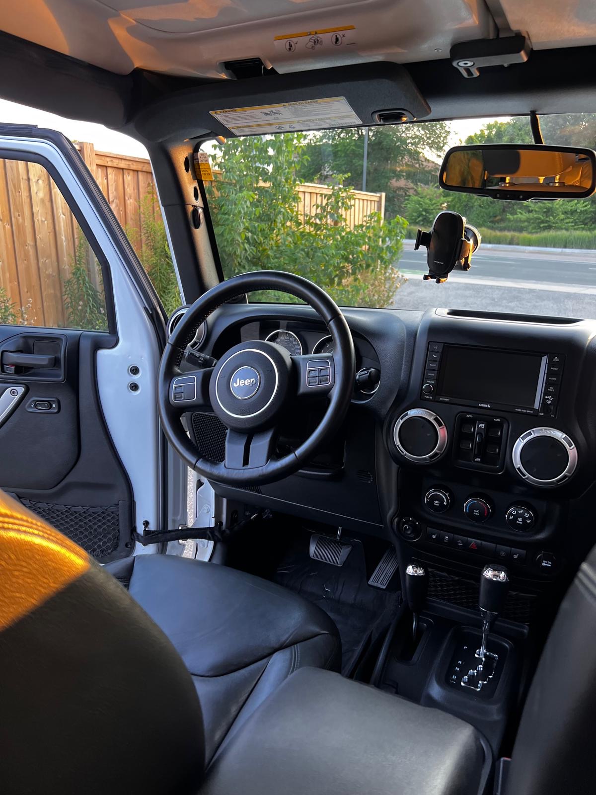 Professional auto detailing service