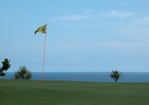 Matsuyama Kokusai GC 그린