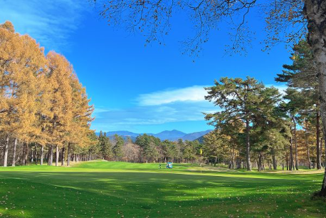 산을 배경으로 한 그린