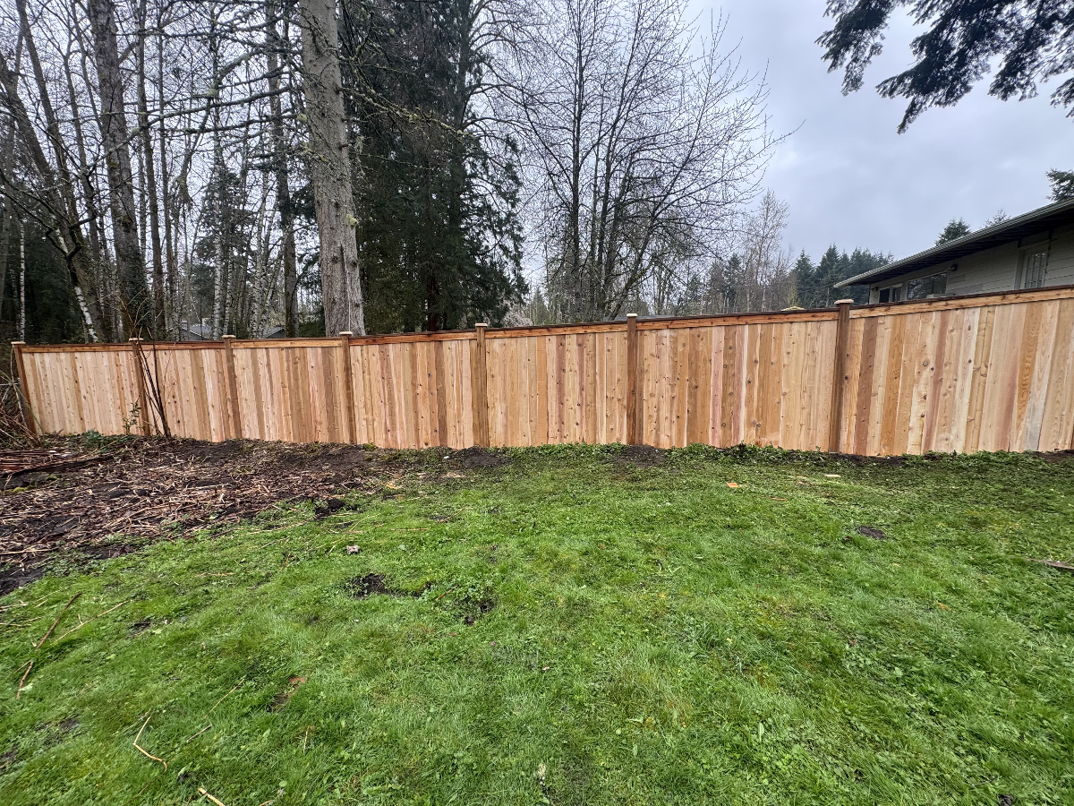 Cedar Fence - Everett