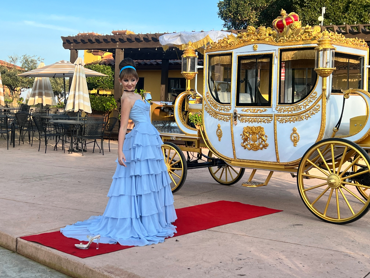 Royal Enchanted Kingdom Services