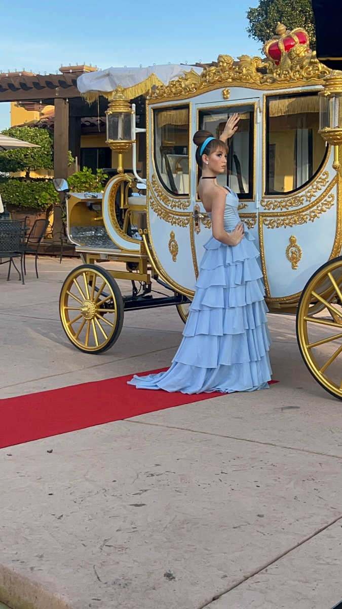 Cinderella Elegance - Royal Enchanted Kingdom Cinderella Elegance