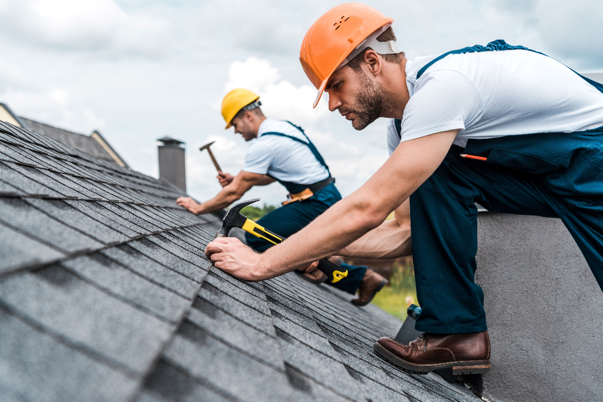 Professional Roofing Contractors