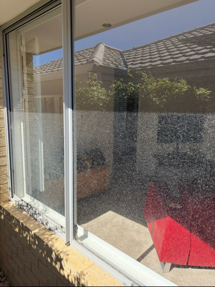 Window Cleaning - Before