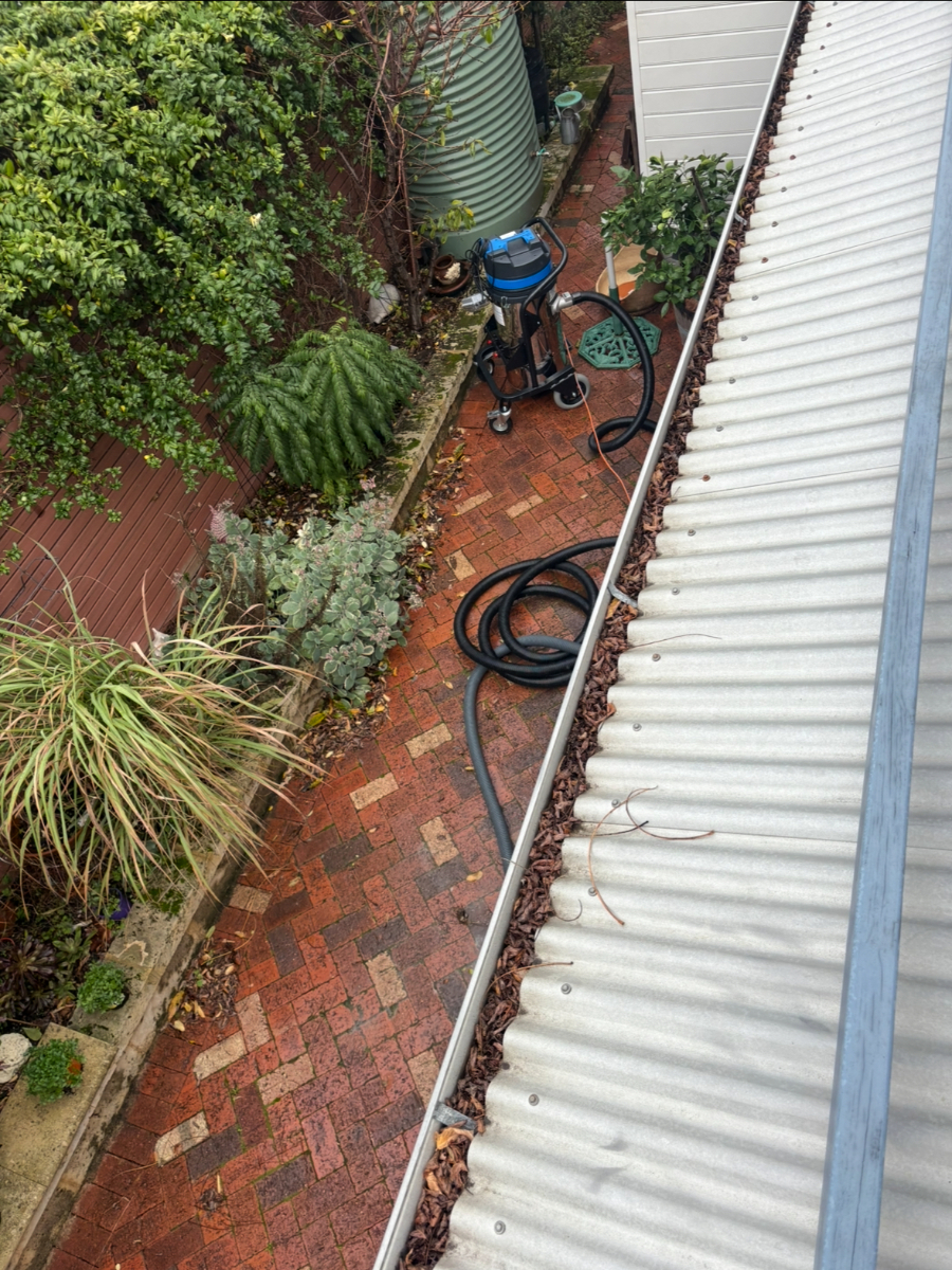 Gutter Cleaning - Before