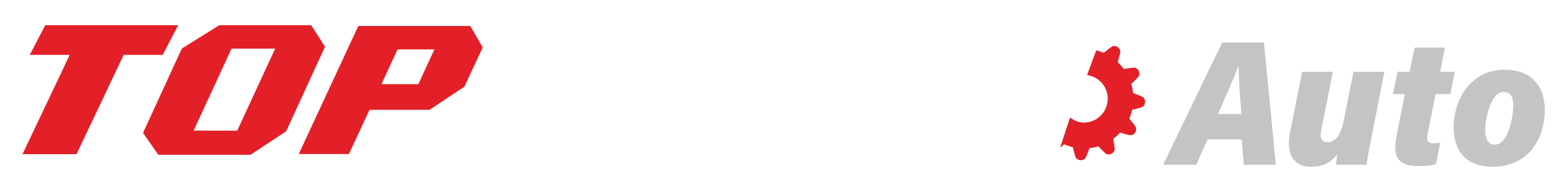 Nissan dealership logo