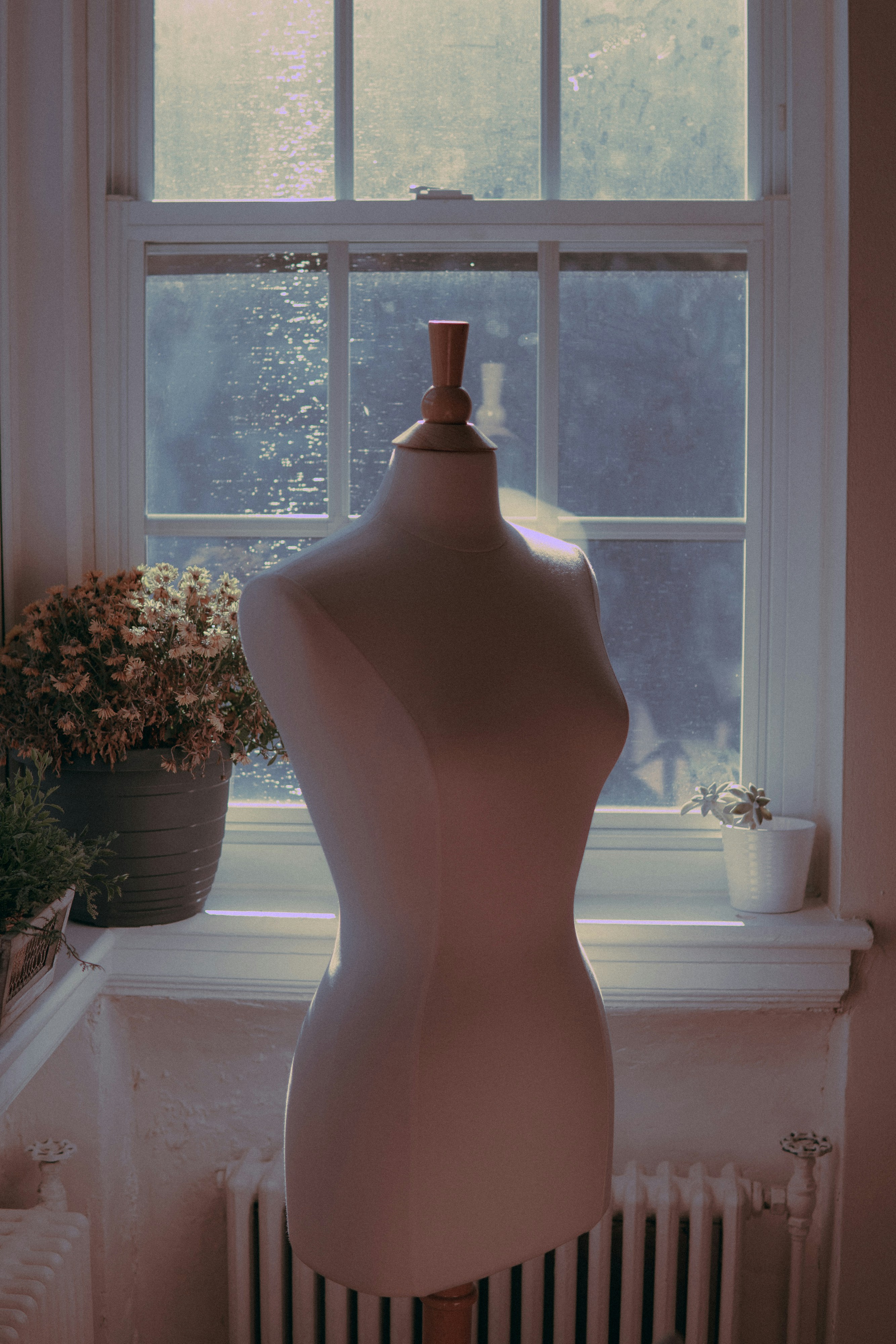 Consultation morphologique