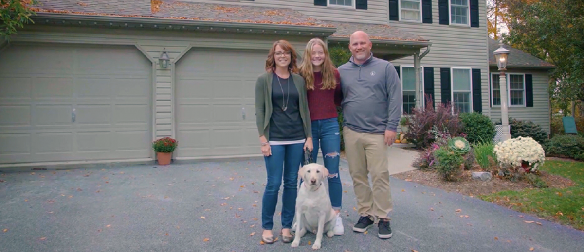 Phenomenal Aire for home