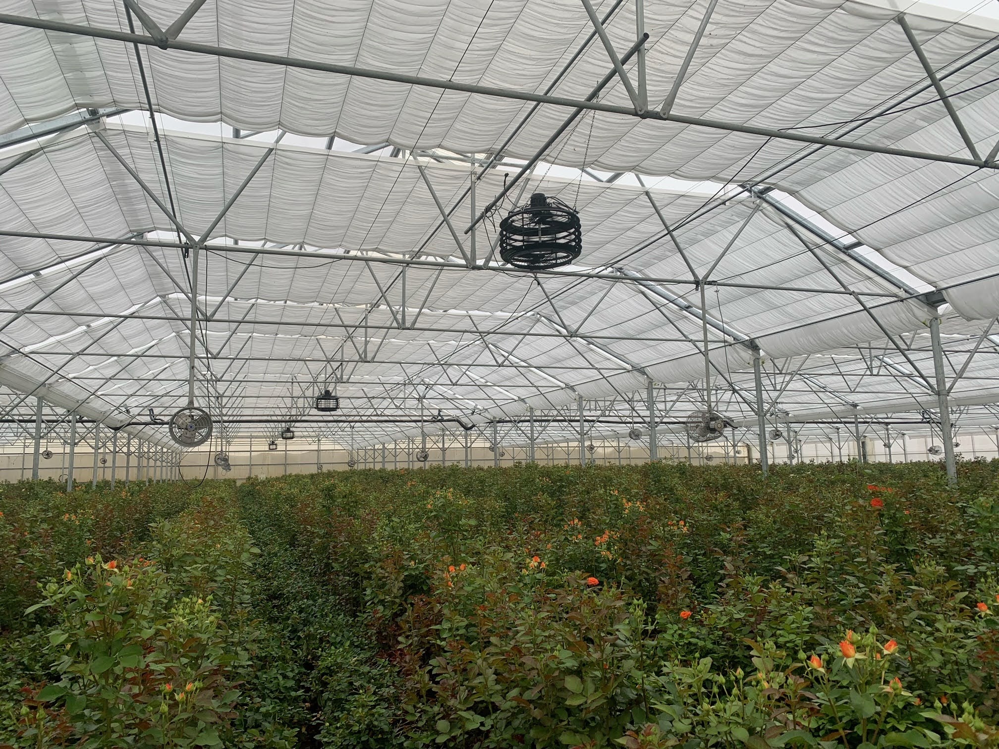 Andely Eliturbo Air Destratifier — ceiling mounted industrial fan