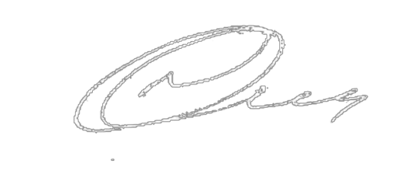 Подпись директора