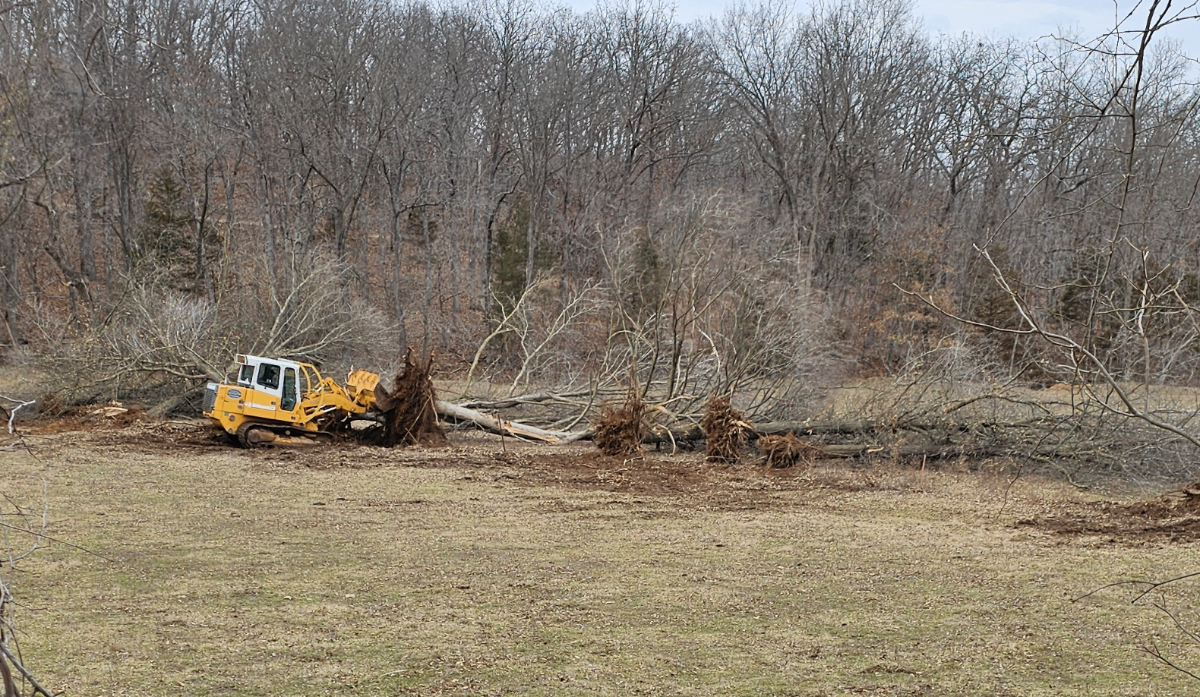 Land Clearing Project with Heavy Equipment