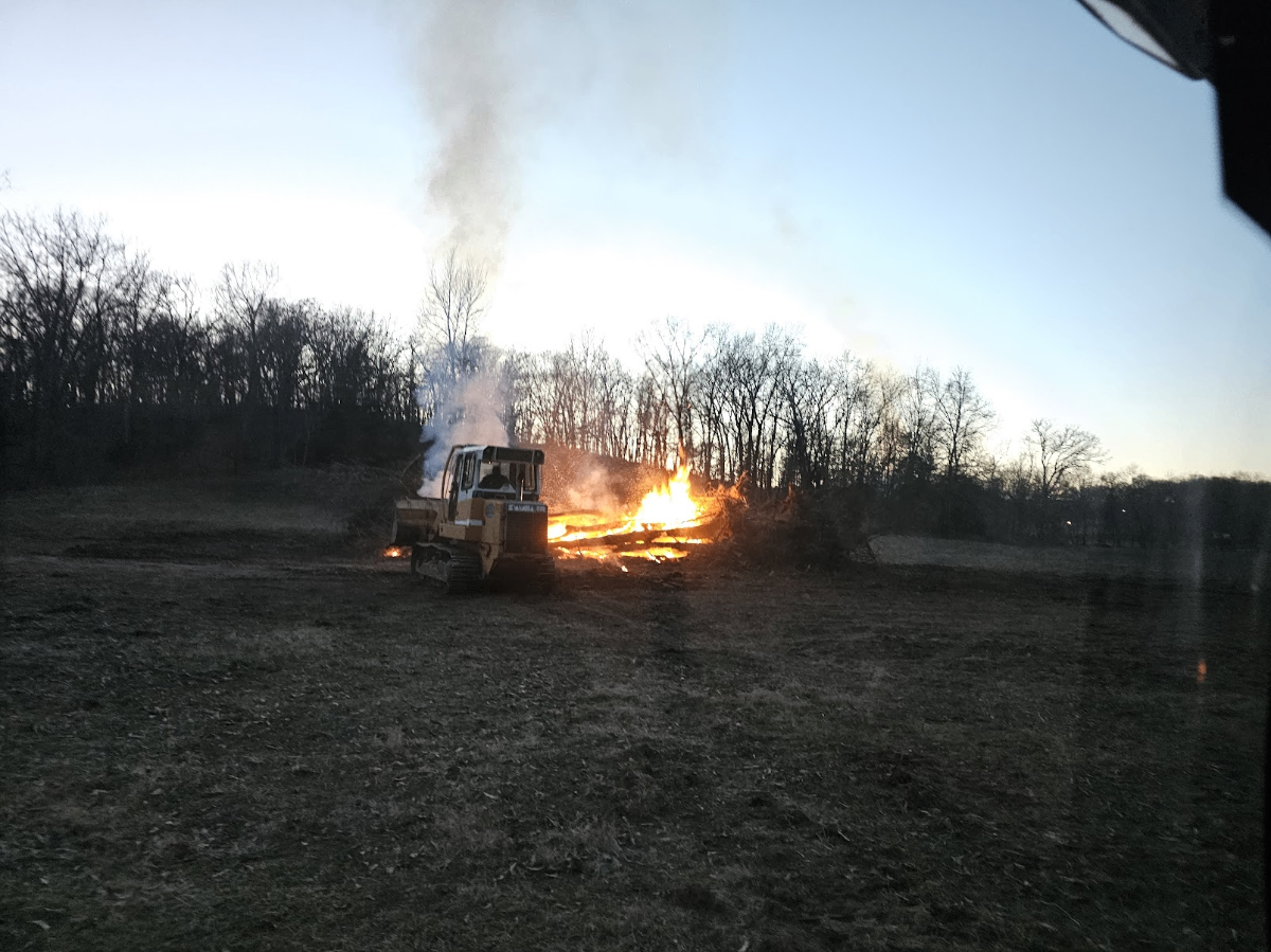 Land Clearing Project