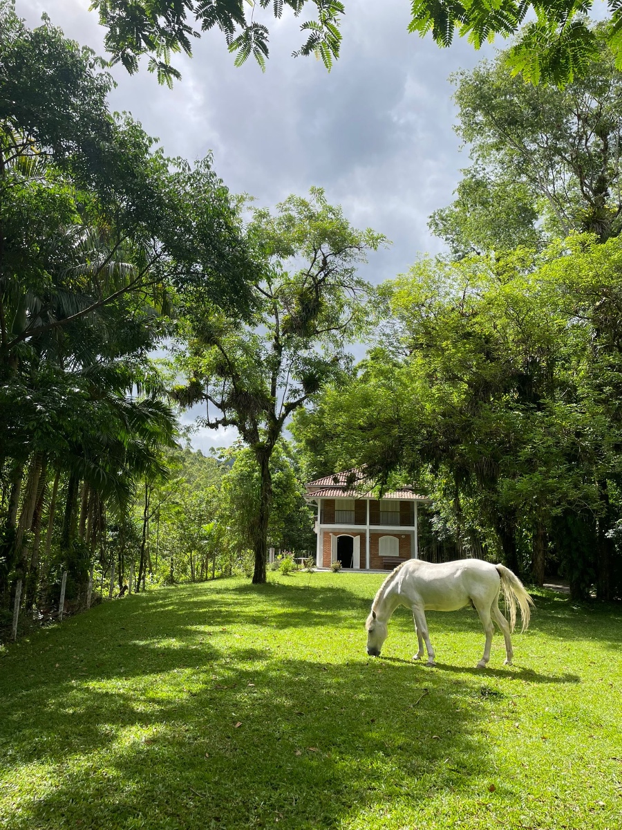 Vista geral da propriedade