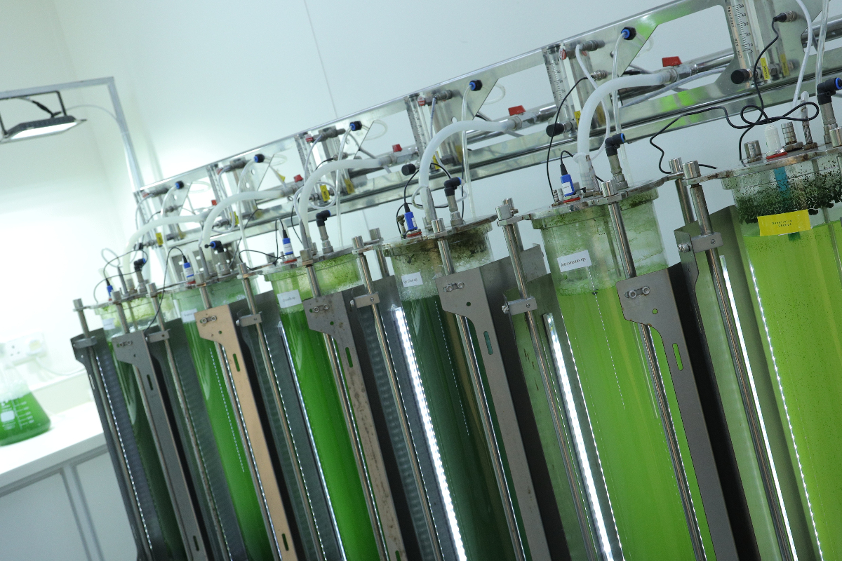AWARD FOR INNOVATION IN CARBON CAPTURE TECHNOLOGY