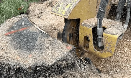 Professional stump grinding equipment