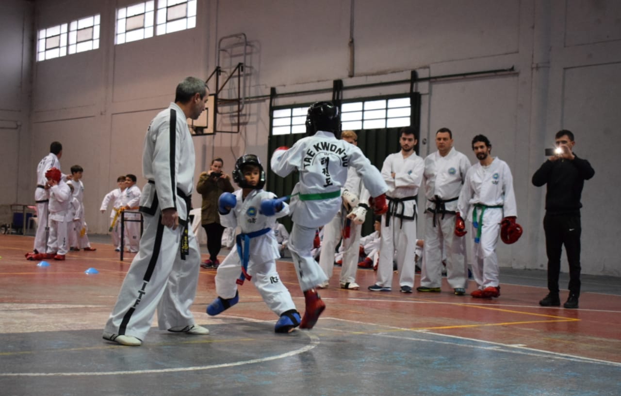 Ejercicios de Combate