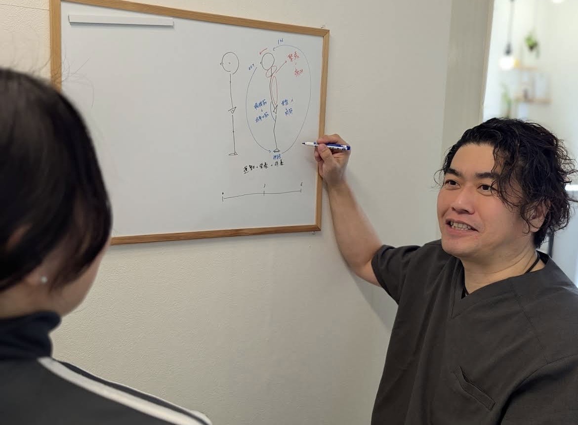 骨盤の模型で説明