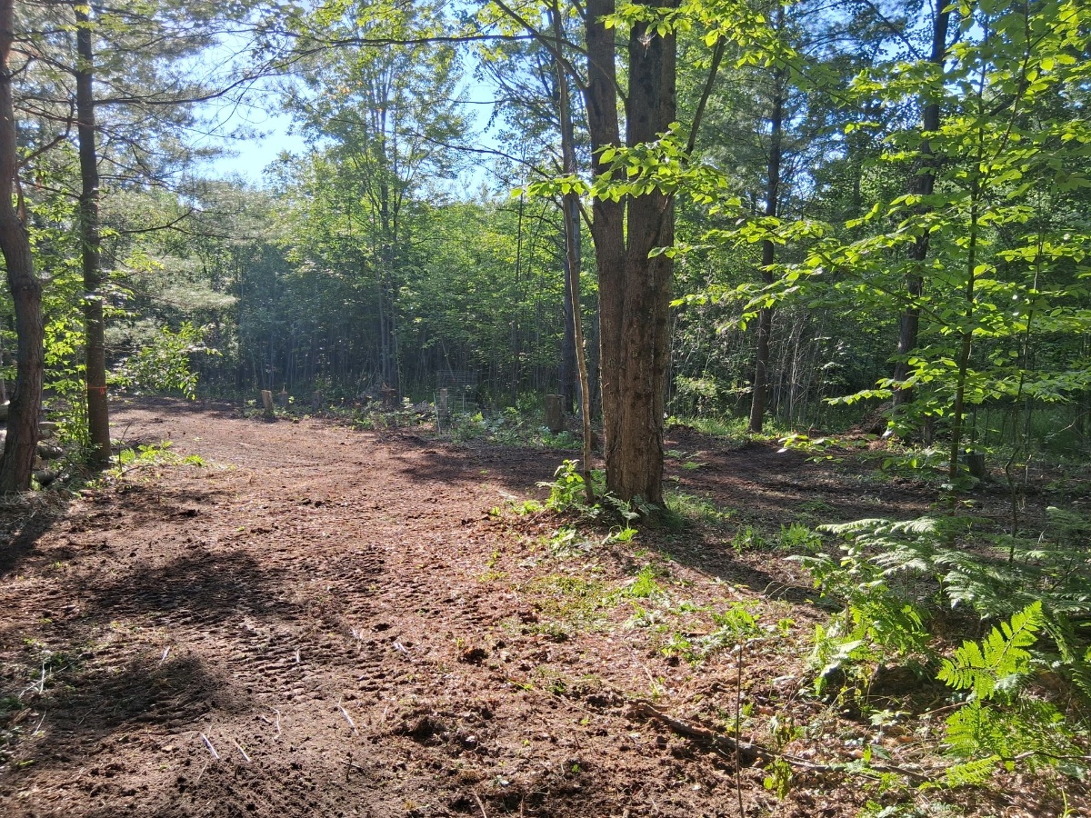 Habitat Improvement
