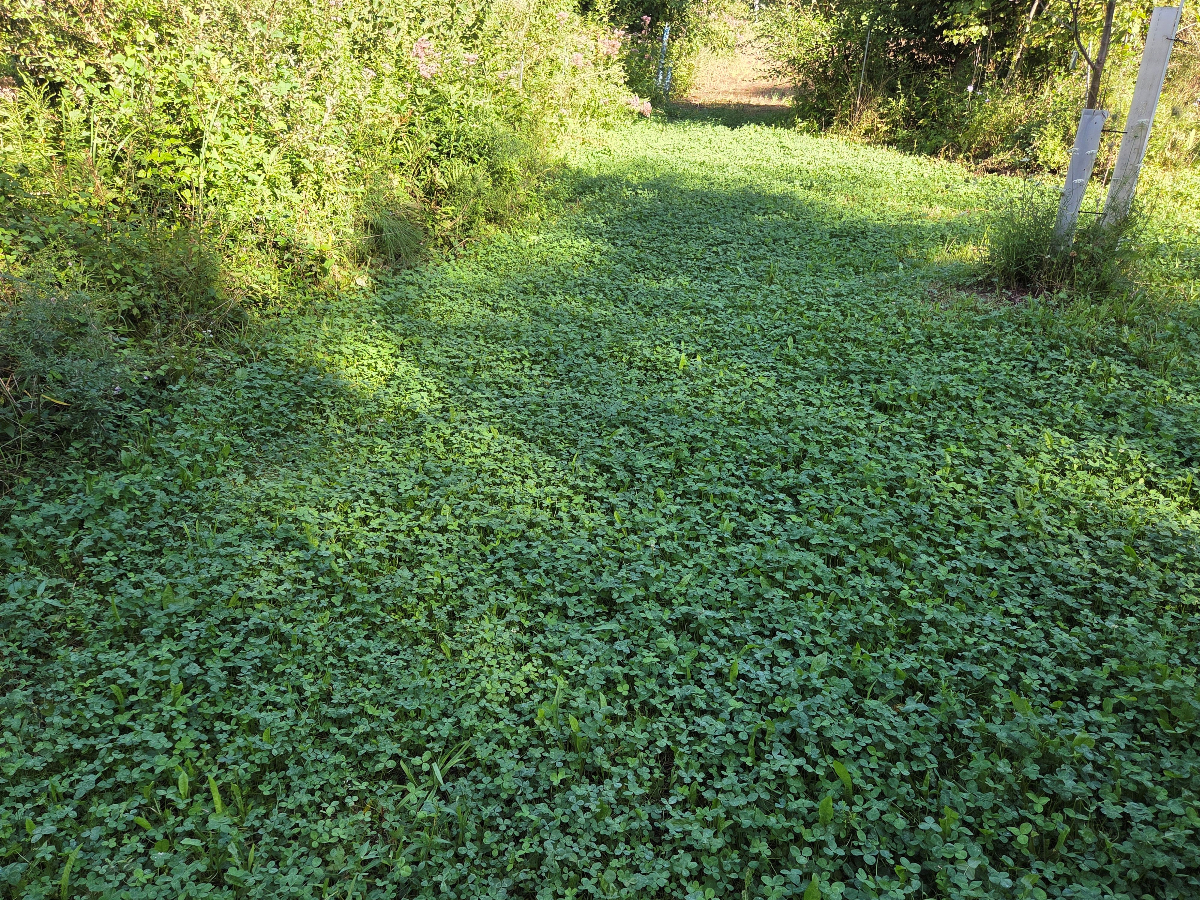 Food Plot Installation