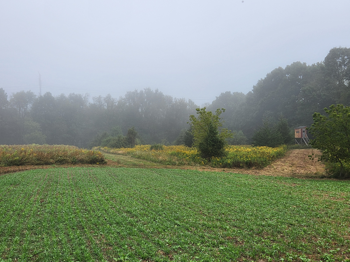 Habitat Property Planning