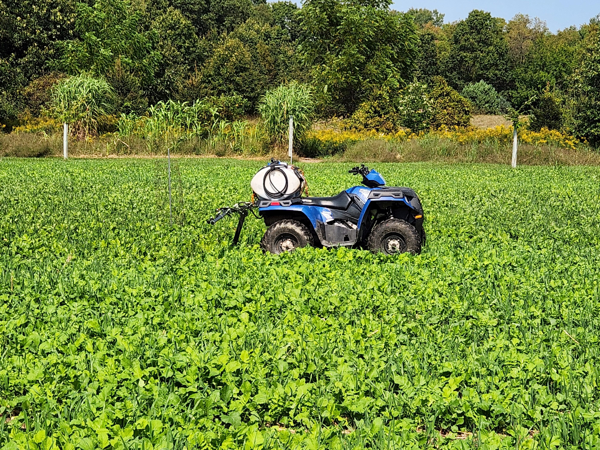 Food Plot Installation
