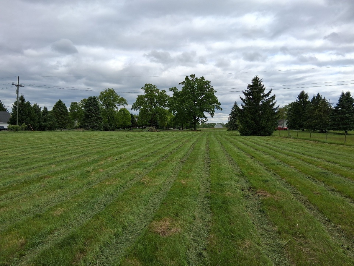 Mowing & Brush Hogging