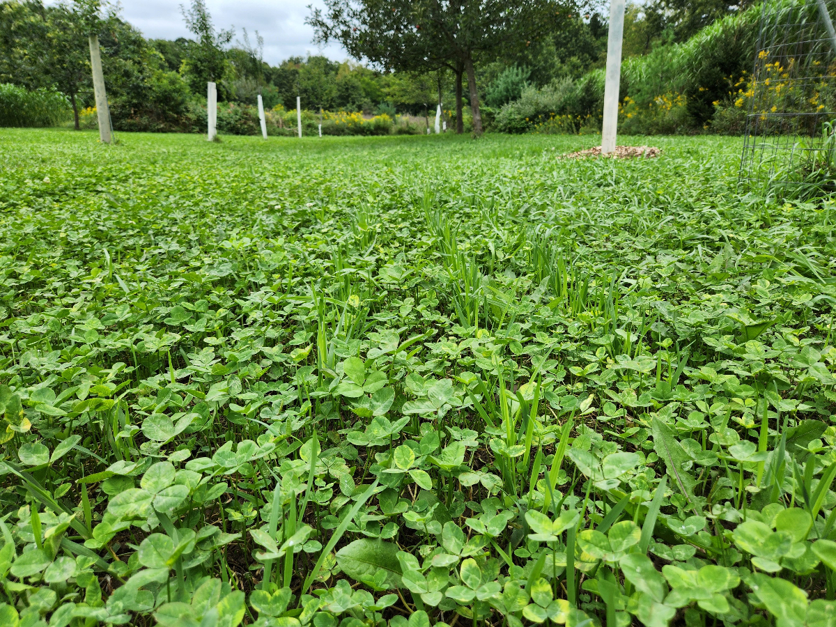 Food Plot Installation
