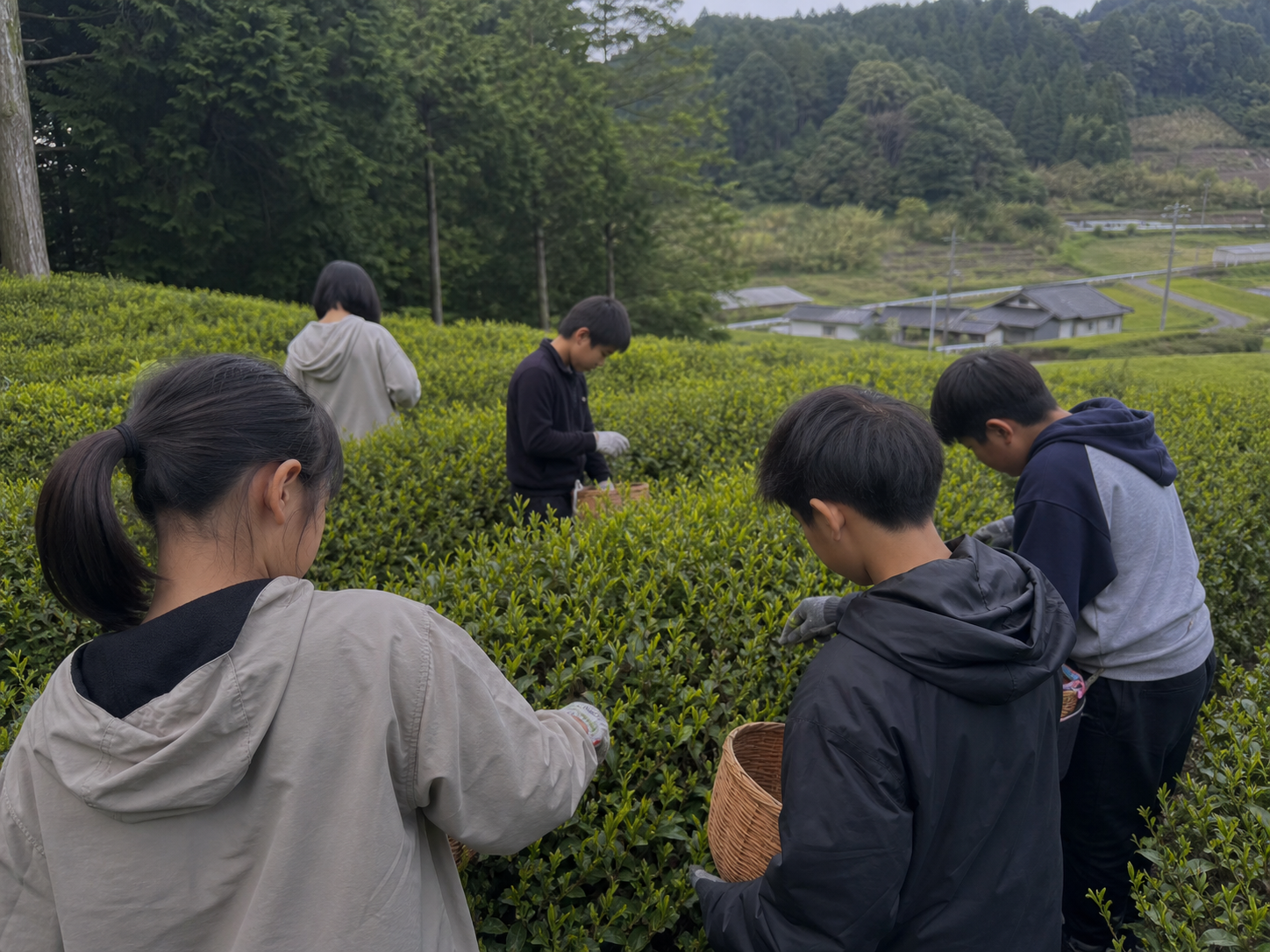 里山の農作業風景