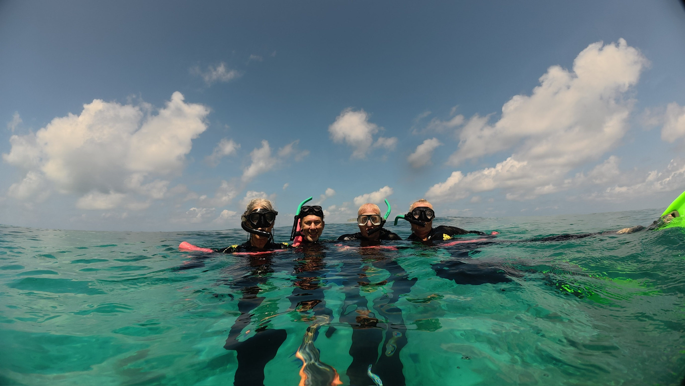 Snorkeller viewing coral reef and sea turtles from the surface