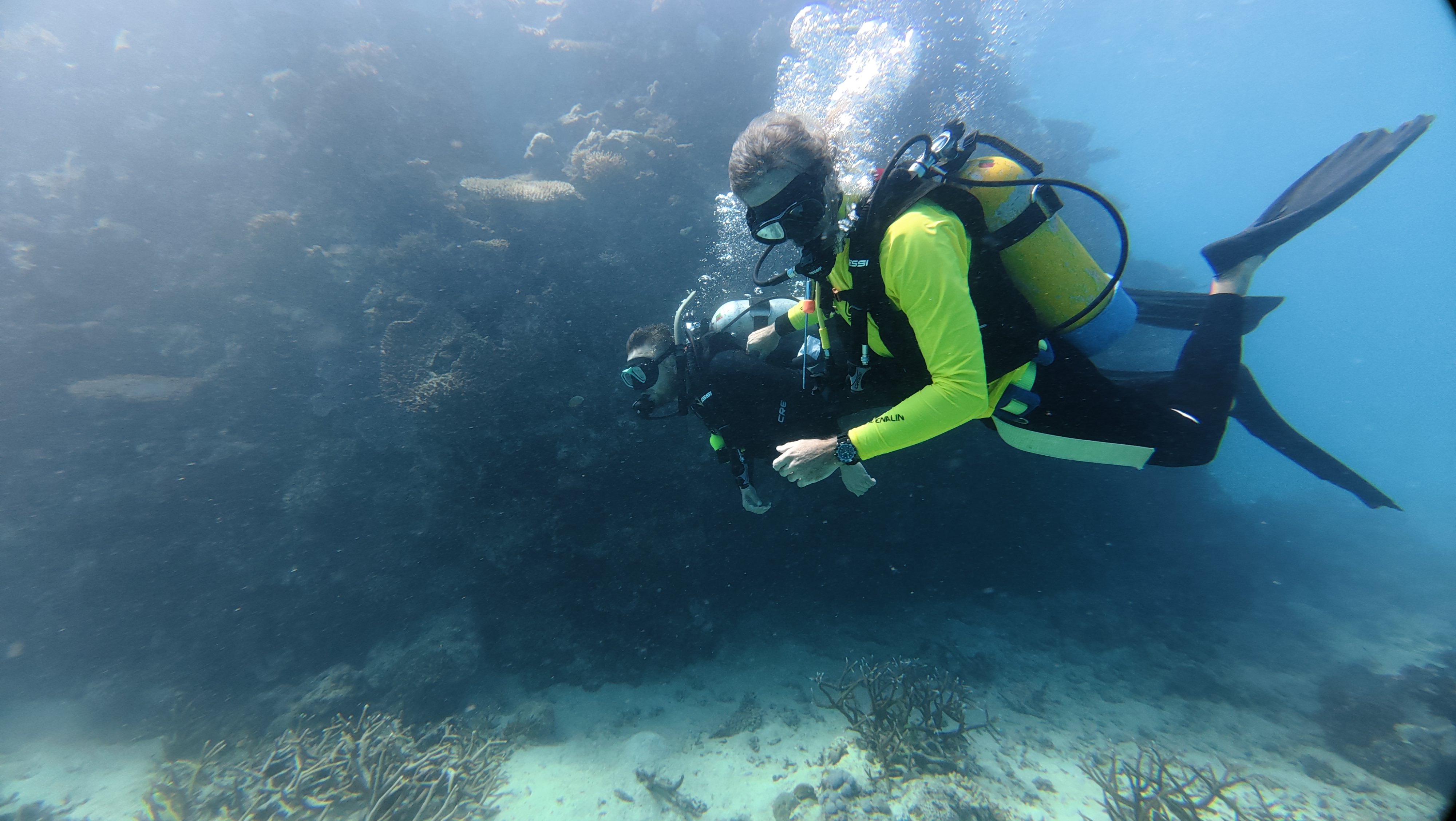 Mission Beach Dive team