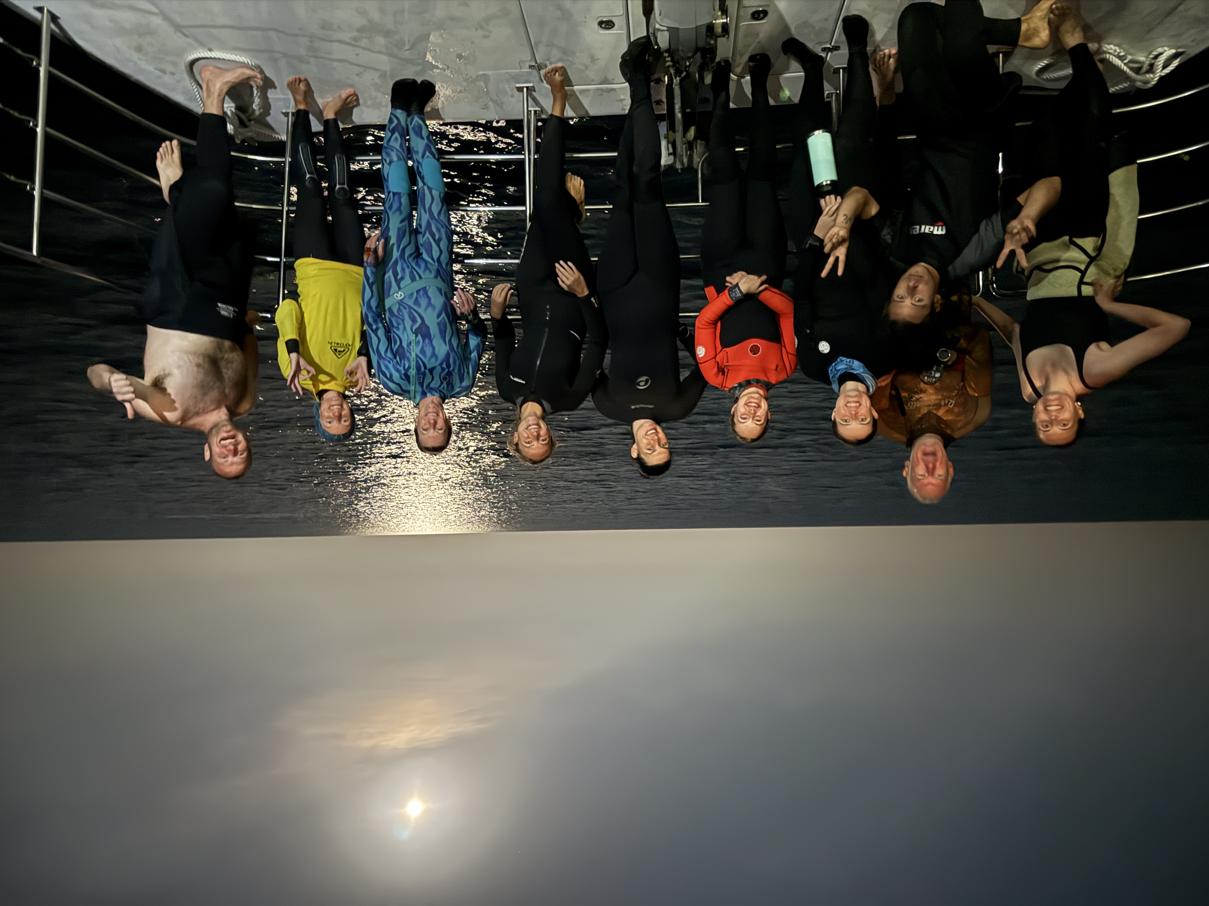 Night dive with torch light revealing nocturnal reef creatures