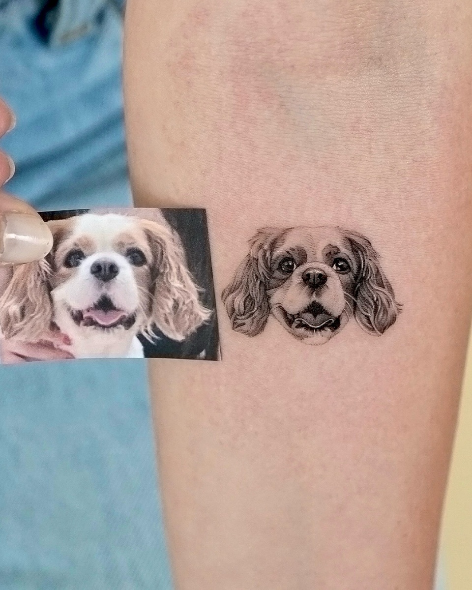 Pet portrait tattoo work 11 Tattoo work 11