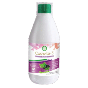 Cushvite-3 Juice