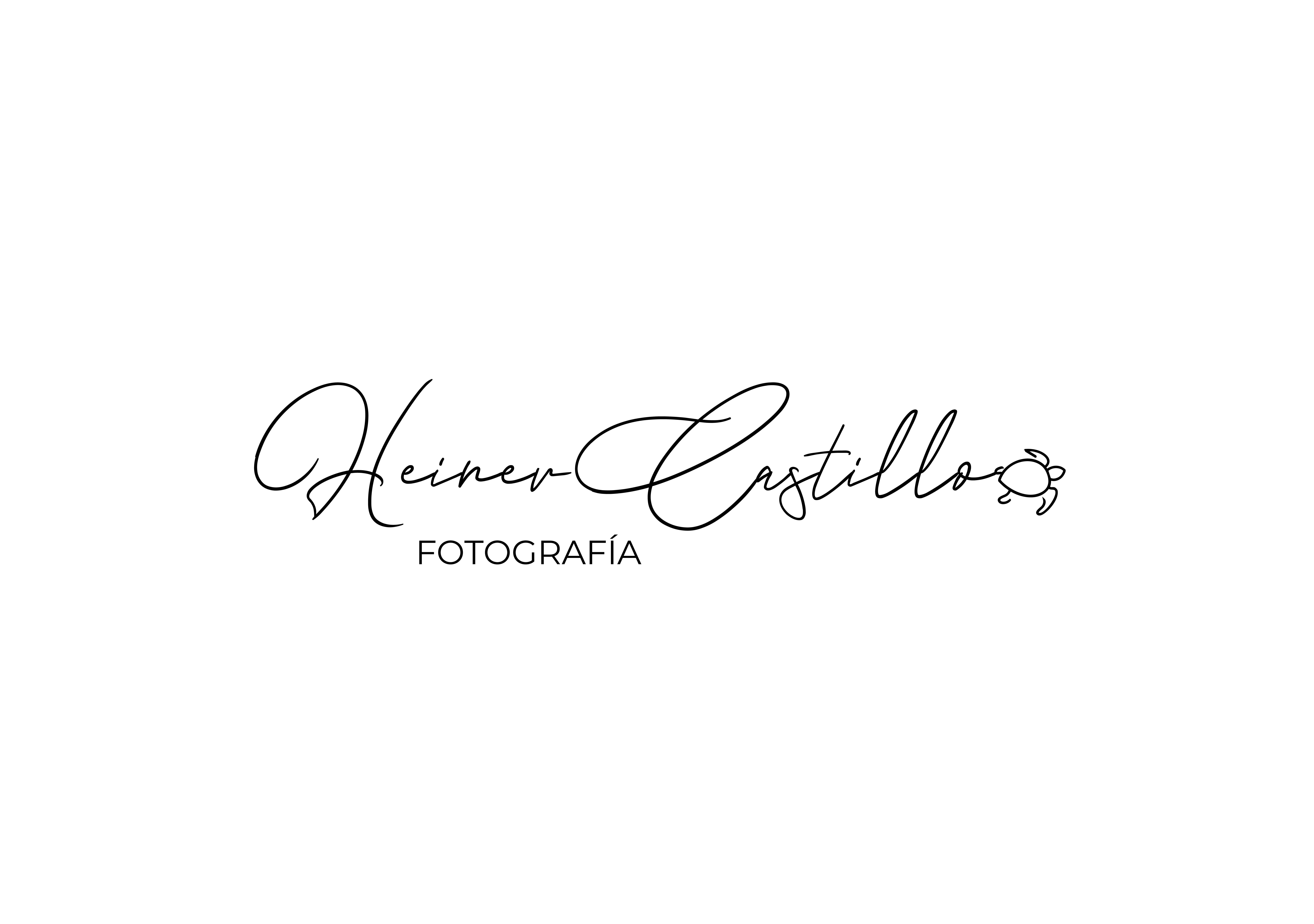 Portfolio Website Design