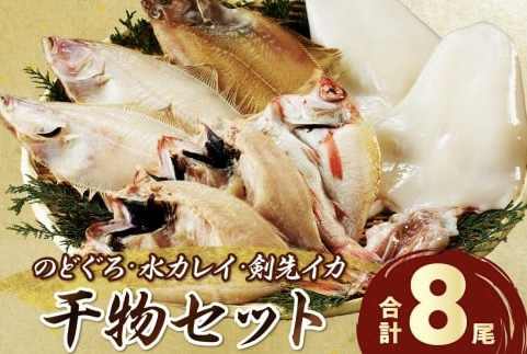人気干物セット 合計8尾の詰合せ写真