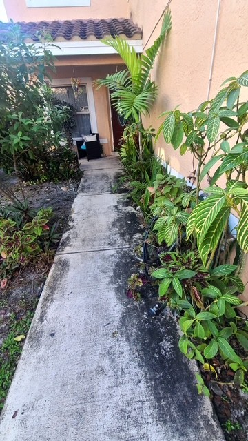 Before - Home Walkway - Pressure Cleaning