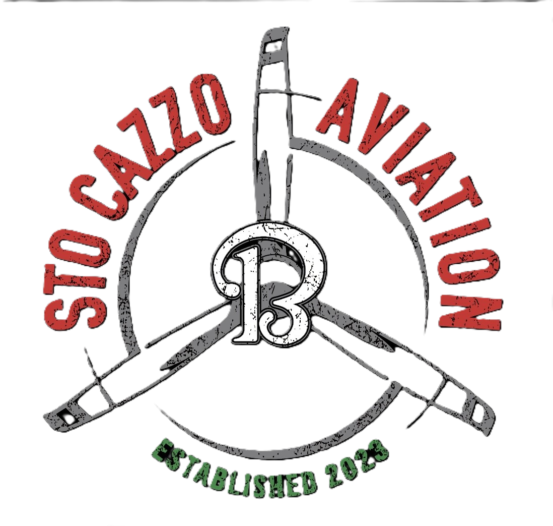 Twin Time Aviation Logo