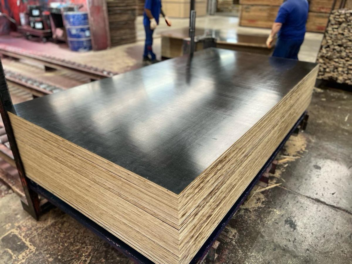 Compensado Calibrado - Detalhe das camadas