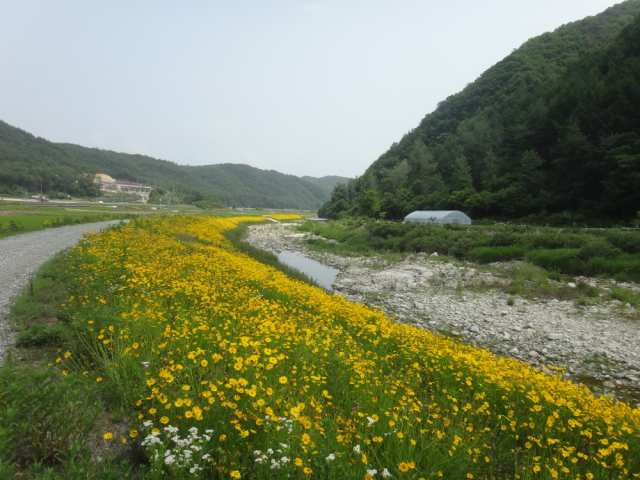구조적 안정성과 현장 검증으로 완성하는 하천정비 기술