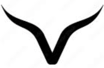 Web Dev Ventures Logo
