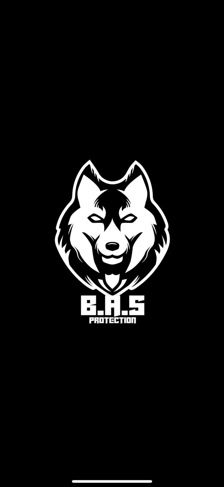 BAS Protection Logo