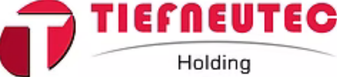 Logo Tiefconsult — substituir pela logo oficial